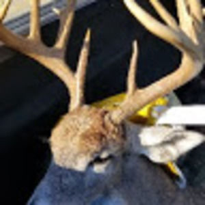 Meet your Posher, Doug